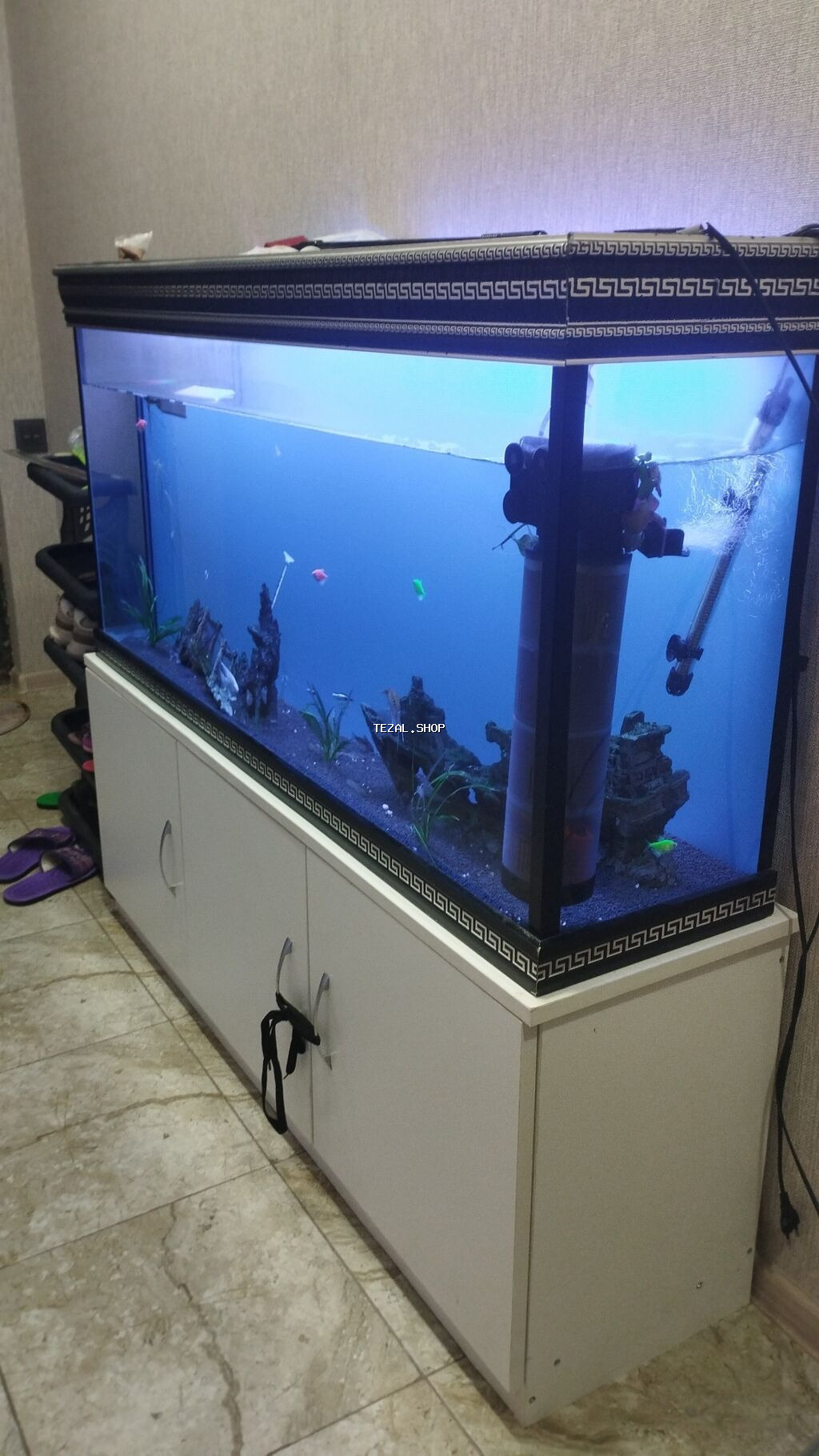 Akvarium-şkaf, Balıqlarla birlikdə, 250 l, Ünvandan götürmə