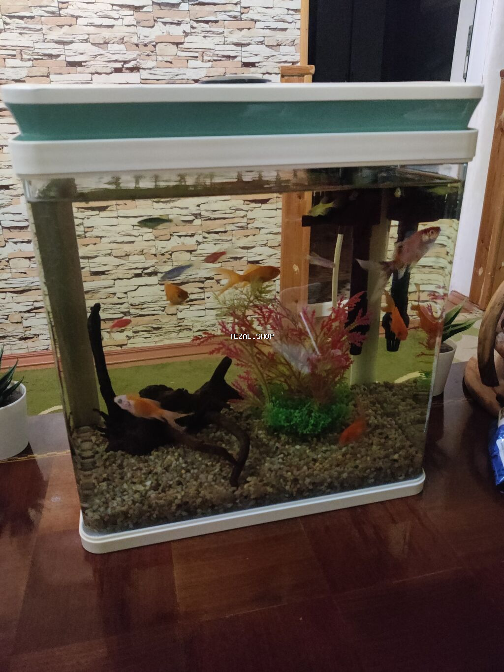 Akvaryum seti – şık kvadrat dizaynlı, ağ rəngli qapaq və alt baza ilə