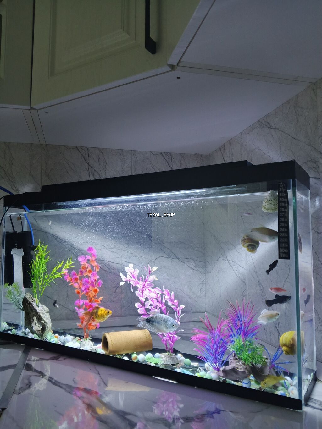Akvaryum dəsti – şüşə akvarium və tam işlək avadanlıq Xüsusiyyətlər