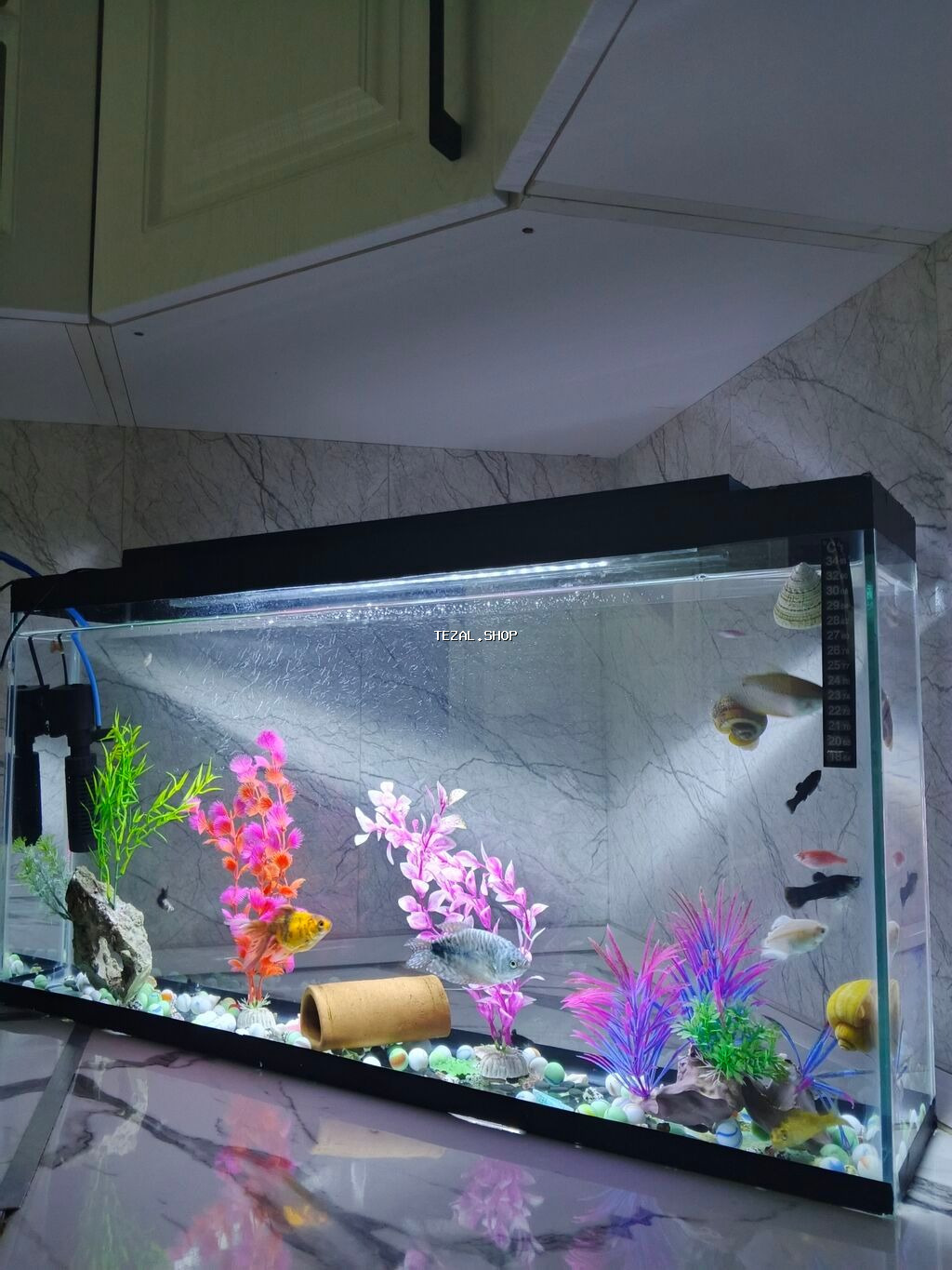 Geniş akvarium komplekti – dekorativ şirin su quruluşu - Ölçü