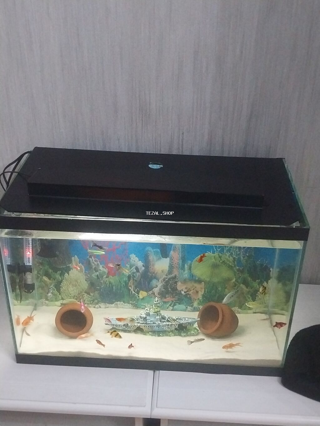 Baliglarnan bir yerde satilir akvarum e