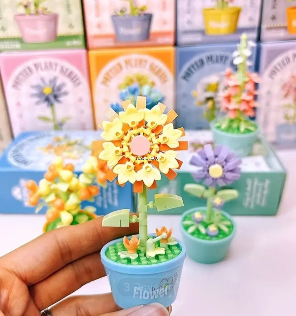 Gül leqosu😍
Fərqli çeşid gül blokları🤩
2 azn