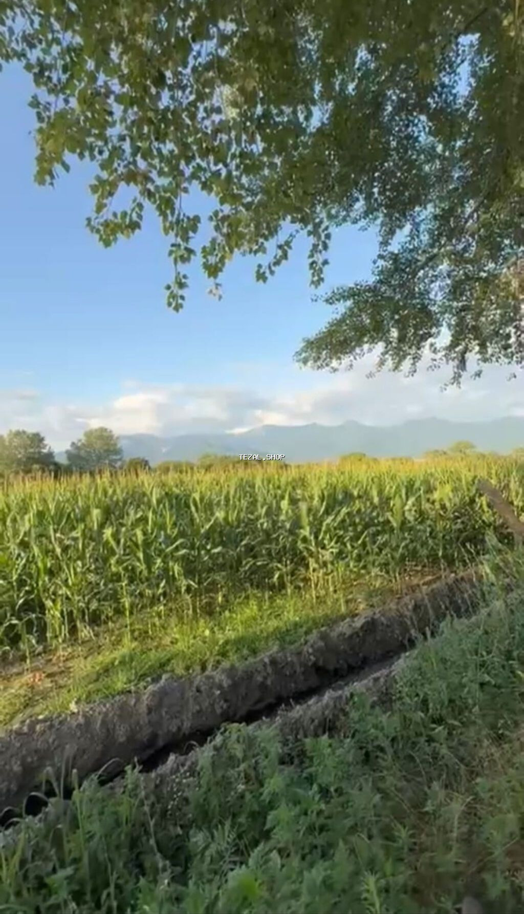 850 sot Kənd təsərrüfatı, Su