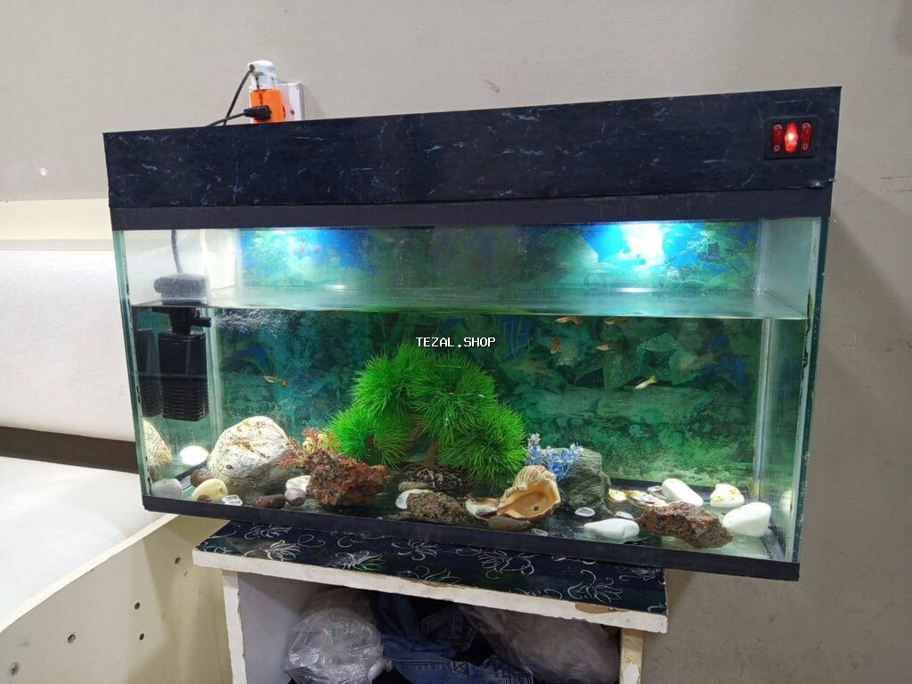 Yaxşı vəziyətdədir İçində balıqlarda var Uzunluğu 75 Hündürlüyü 40 Eni