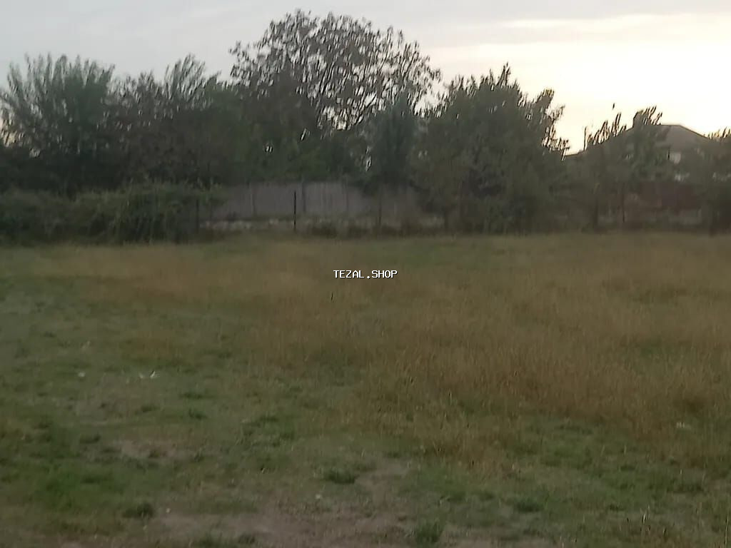 24 sot, Tikinti, Maklerlər narahat etməsin, Kupça (Çıxarış)