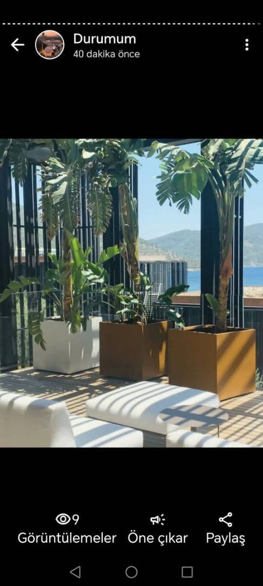 Her razmir de özel dibcek istehsal edirik. Qvadrat ve adede gore