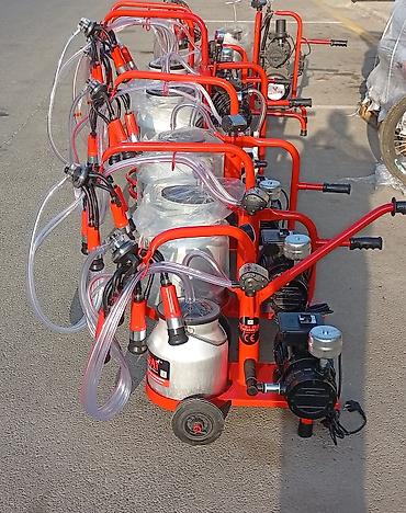 Tək bidon, Türkiyə, Paslanmaz bidon - şəkil 4