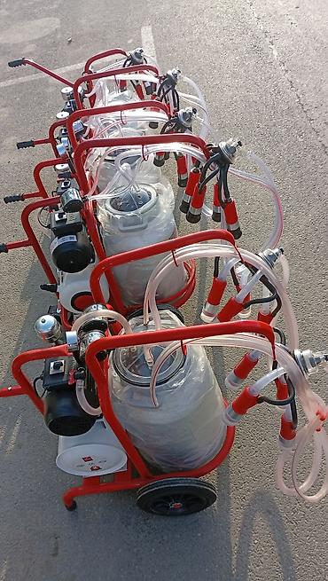 Tək bidon, Türkiyə, Paslanmaz bidon - şəkil 3