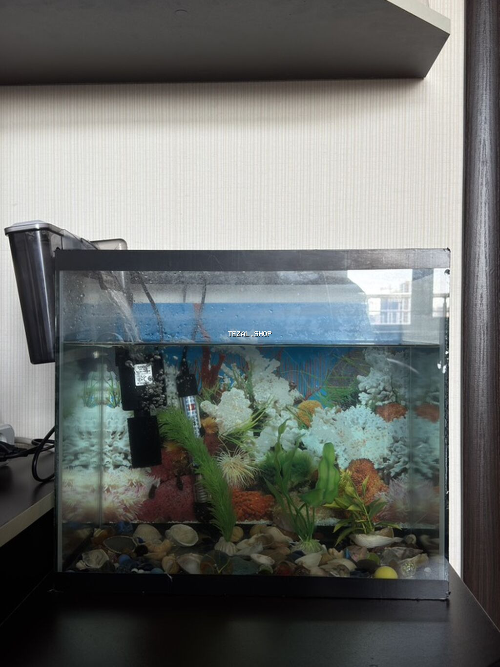 Dördbucaq akvarium, Balıqlarla birlikdə, 32 l