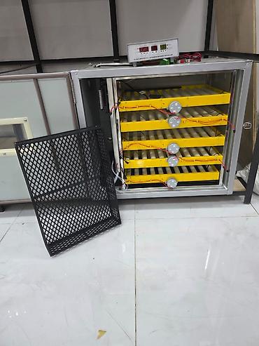 300 yumurta, Çin, Fabrik istehsalı, Tam avtomat, Bütün növ quşlaq üçün - şəkil 2