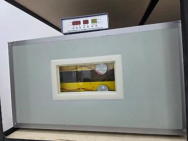 300 yumurta, Çin, Fabrik istehsalı, Tam avtomat, Bütün növ quşlaq üçün - şəkil 4