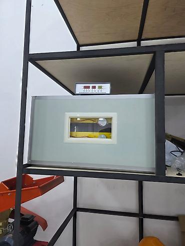 300 yumurta, Çin, Fabrik istehsalı, Tam avtomat, Bütün növ quşlaq üçün - şəkil 3