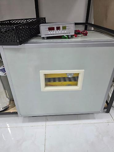 300 yumurta, Çin, Fabrik istehsalı, Tam avtomat, Bütün növ quşlaq üçün - şəkil 5