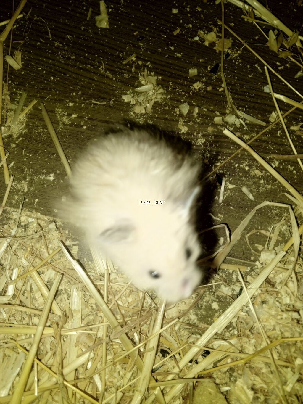 Salam hemtr satılır koroğluya çatdırılma var endirim olacaq