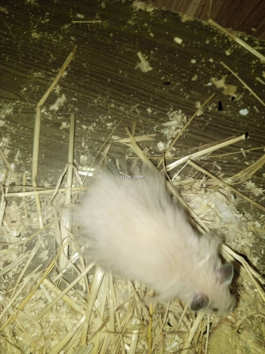 Salam hemtr satılır koroğluya çatdırılma var endirim olacaq - şəkil 4