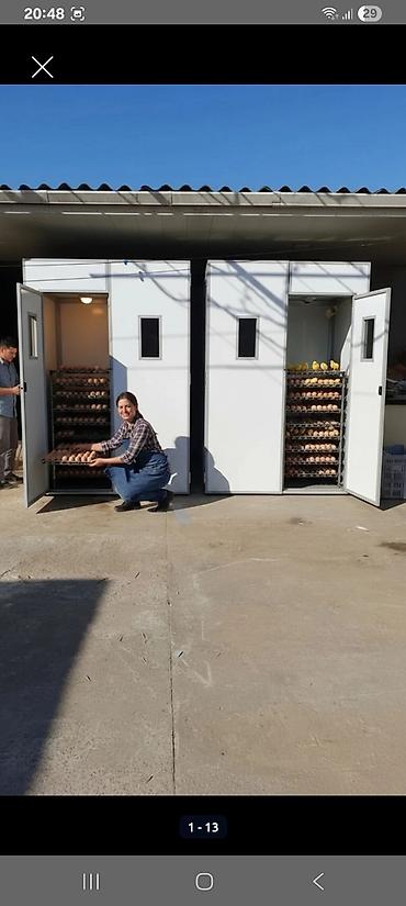 Yumurta İnkubatoru – avtomatik idarəetməli, çoxməqsədli Məhsul - şəkil 2