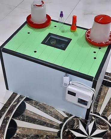 Azərbaycanda inkubator Aparatlarinin Rəsmi satiş mərkəzi Rasif - şəkil 4