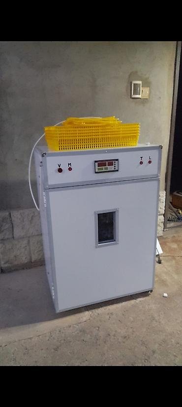 Azərbaycanda inkubator Aparatlarinin Rəsmi satiş mərkəzi Rasif - şəkil 5