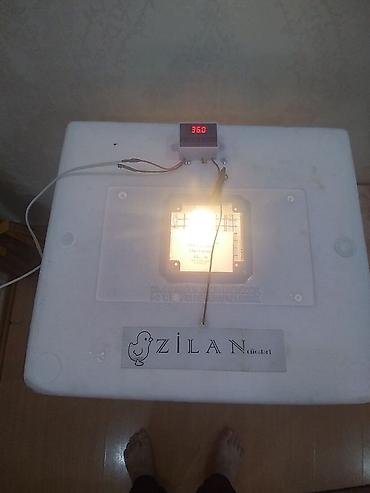 Azərbaycan, Bütün növ quşlaq üçün, Zəmanət ilə, Azərbaycan dilində təlimat - şəkil 3