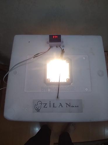 Azərbaycan, Bütün növ quşlaq üçün, Zəmanət ilə, Azərbaycan dilində təlimat - şəkil 5