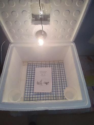 Azərbaycan, Bütün növ quşlaq üçün, Zəmanət ilə, Azərbaycan dilində təlimat - şəkil 4