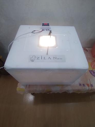 Azərbaycan, Bütün növ quşlaq üçün, Zəmanət ilə, Azərbaycan dilində təlimat - şəkil 2