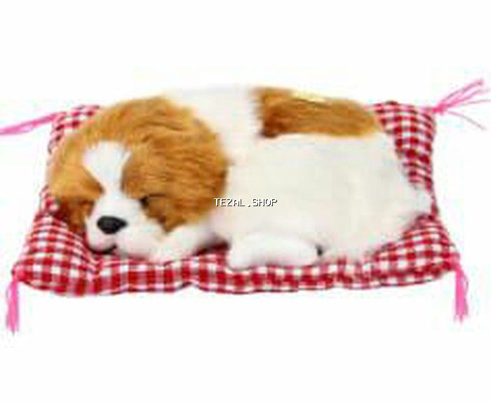 It oyuncagi mashina qoymaqa eve dekor kimi qoymaga doshekle birge