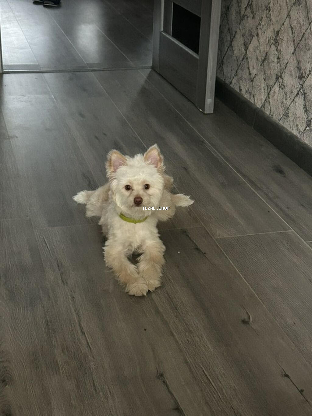 7 ay, Erkek, Sənədli