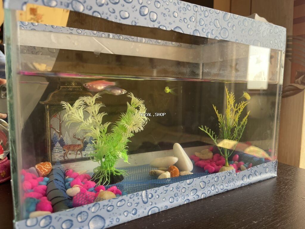 Akvaryum dəsti – şüşə akvarium içi bezekli 4 eded Danio baligi ile - şəkil 3