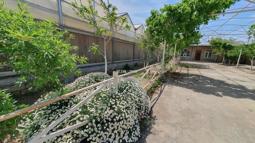 Bakı, Türkan qəs., 1500 kv. m, 7 otaqlı, Hovuzlu, Qaz, İşıq, Su