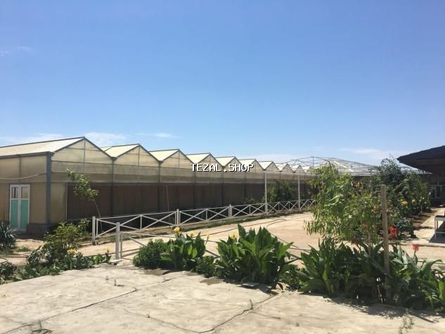 Bakı, Türkan qəs., 1500 kv. m, 7 otaqlı, Hovuzlu, Qaz, İşıq, Su - şəkil 4