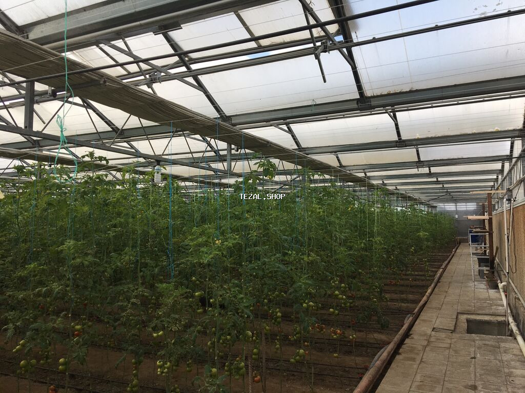 Bakı, Türkan qəs., 1500 kv. m, 7 otaqlı, Hovuzlu, Qaz, İşıq, Su - şəkil 5