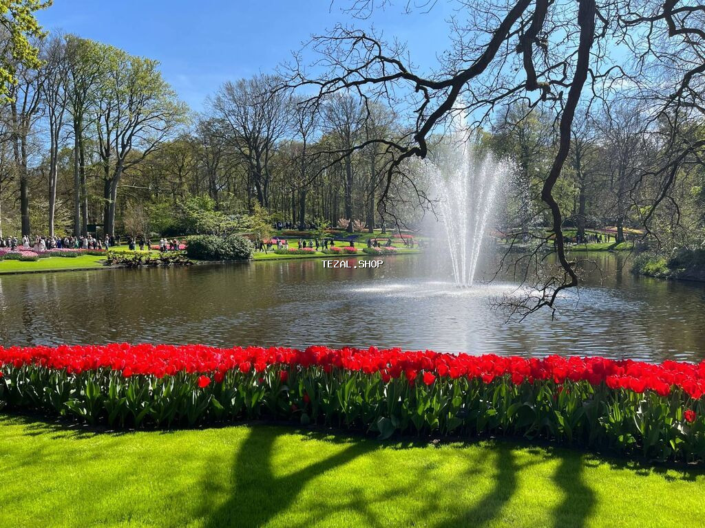 Banner və vinil capı. Minimum 100 kv.m - 4.40azn; 500 kv.m - 4.20 - şəkil 4