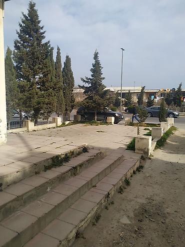 Təcili!!! Sumqayıt, 17m/r, İsmət Qayibov küç, şadliq saraylari - şəkil 4