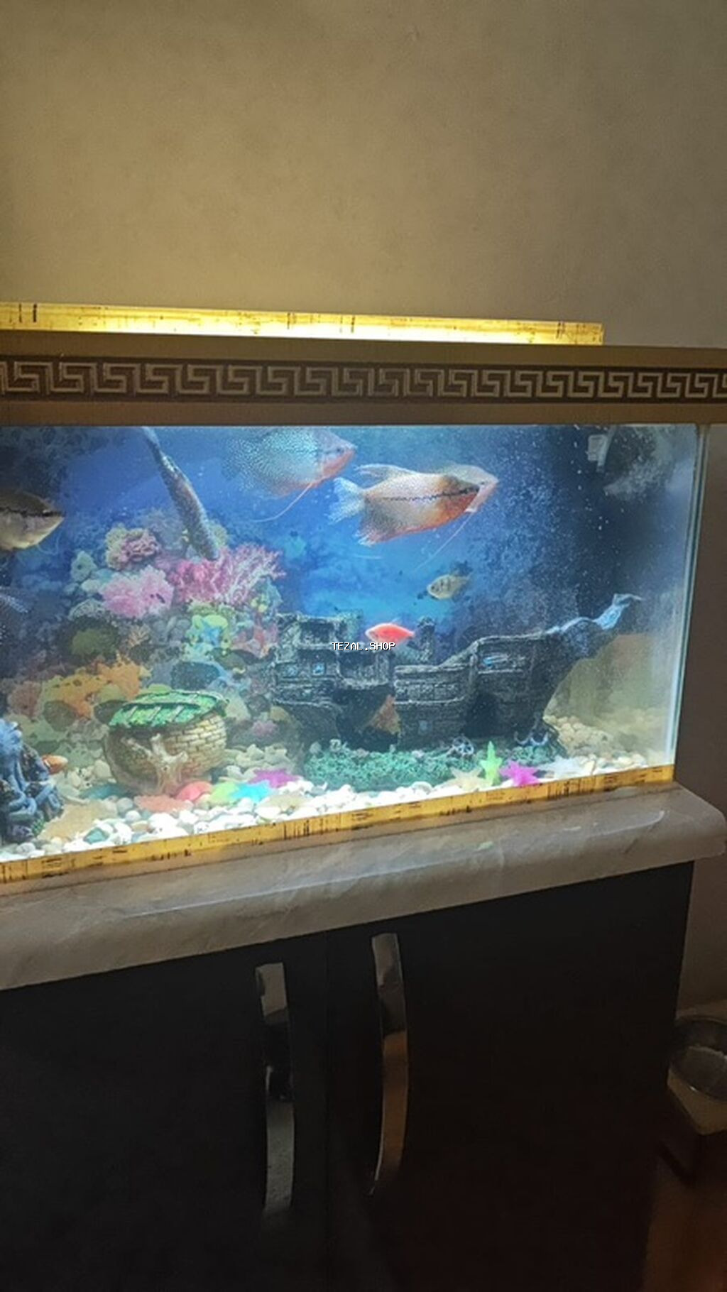 Akvaryum komplekti – dekorativ stend ilə - Şüşə akvaryum: düzbucaqlı