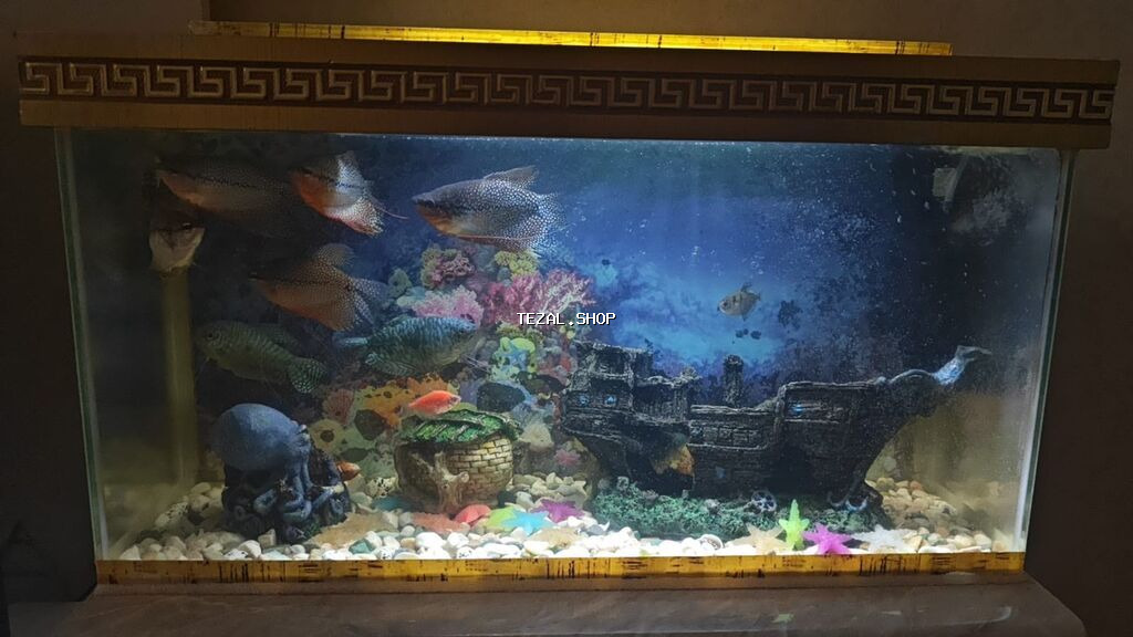 Akvaryum komplekti – dekorativ stend ilə - Şüşə akvaryum: düzbucaqlı - şəkil 2