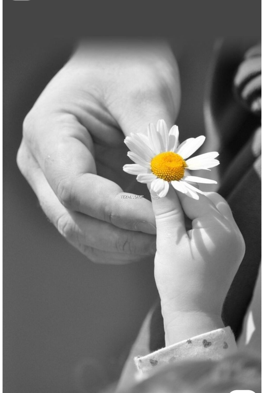 Salam xanimlar Oz evimde uşağa baxiram 1 yaşa qeder olan uşaglara 10 - şəkil 2