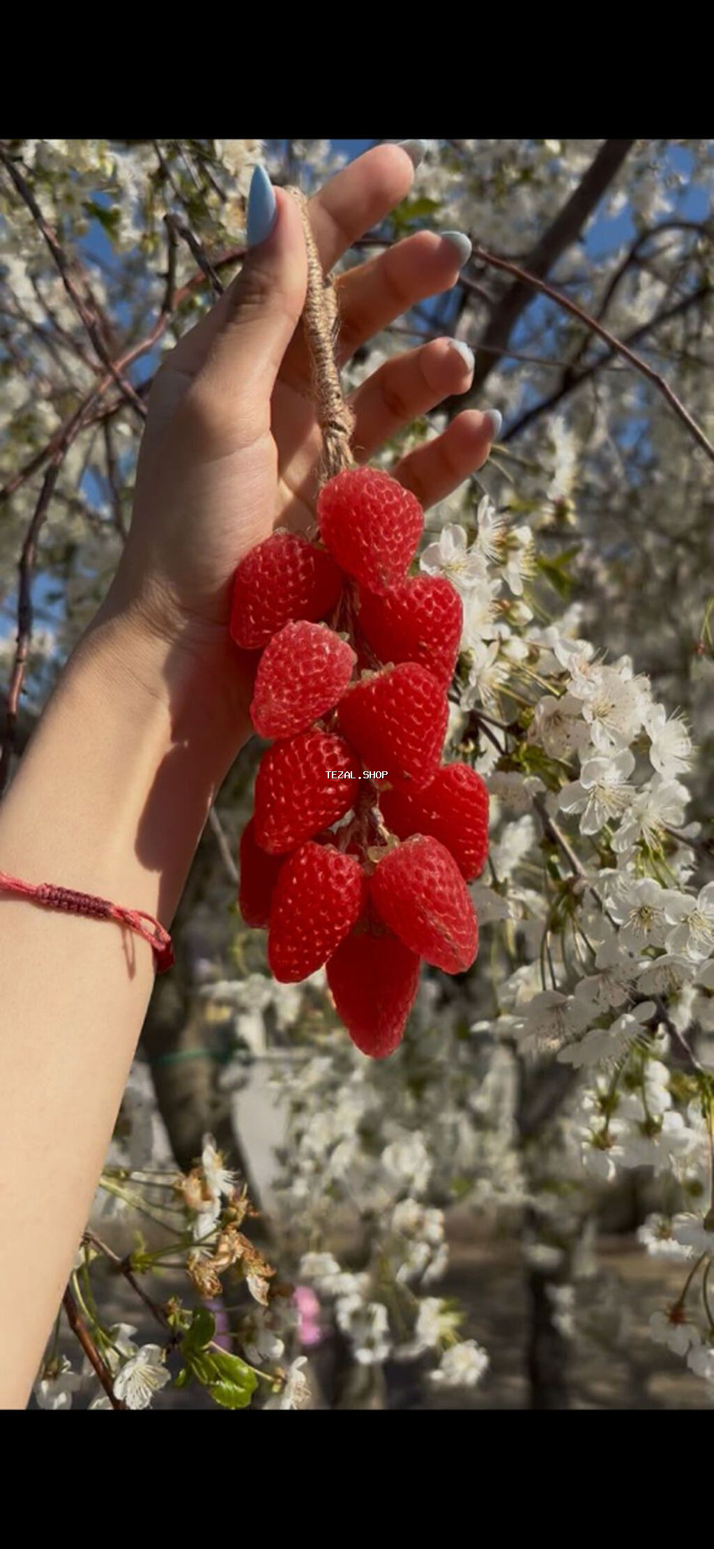 Çiyələk formalı sabun – ətirli və hədiyyəlik Mətn: Gözoxşayan çiyələk - şəkil 2
