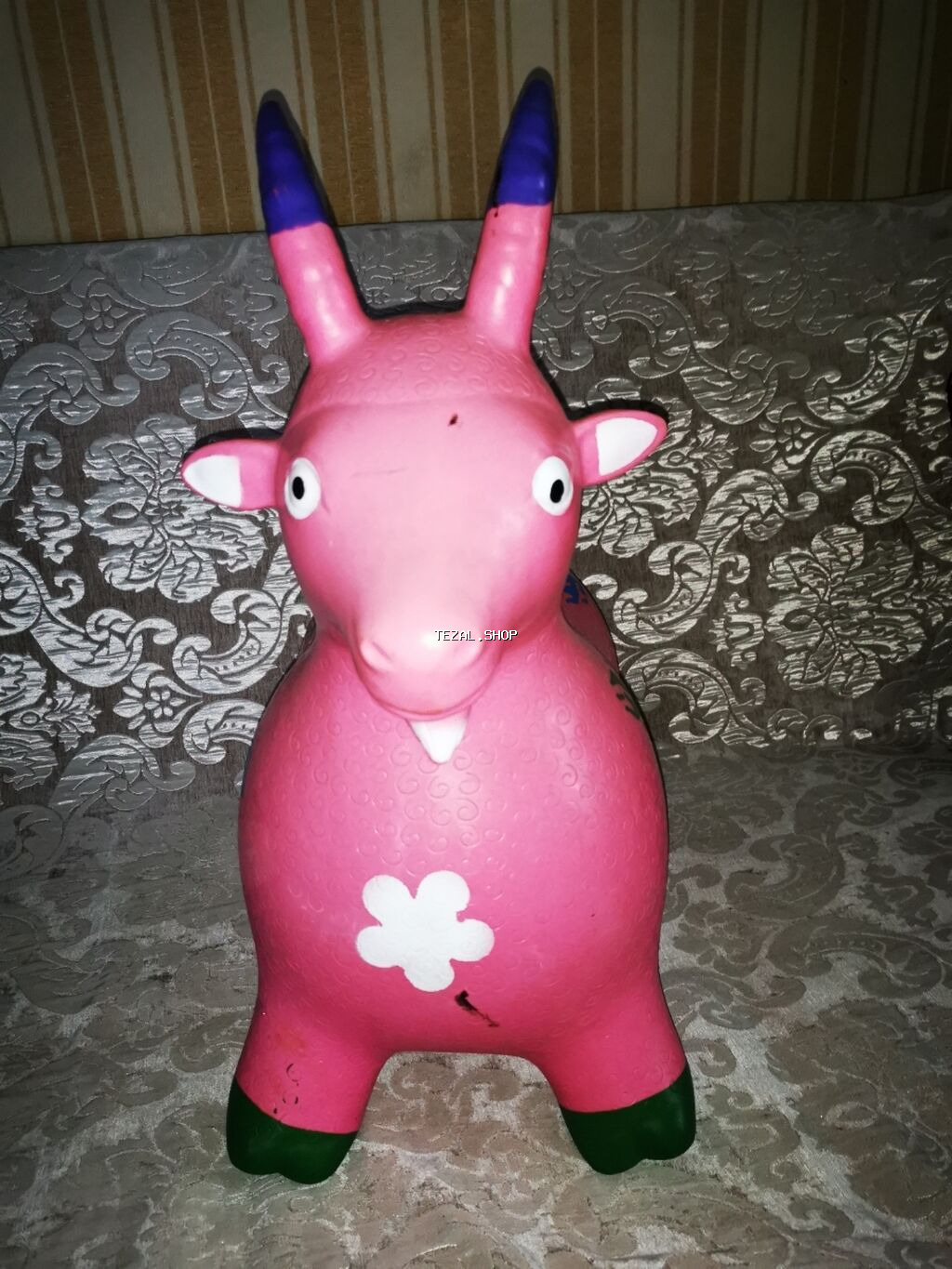 Keçi ses de çıxardır hech bir problemi yoxdu