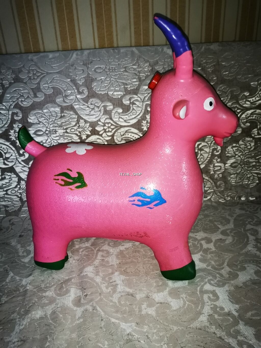 Keçi ses de çıxardır hech bir problemi yoxdu - şəkil 2