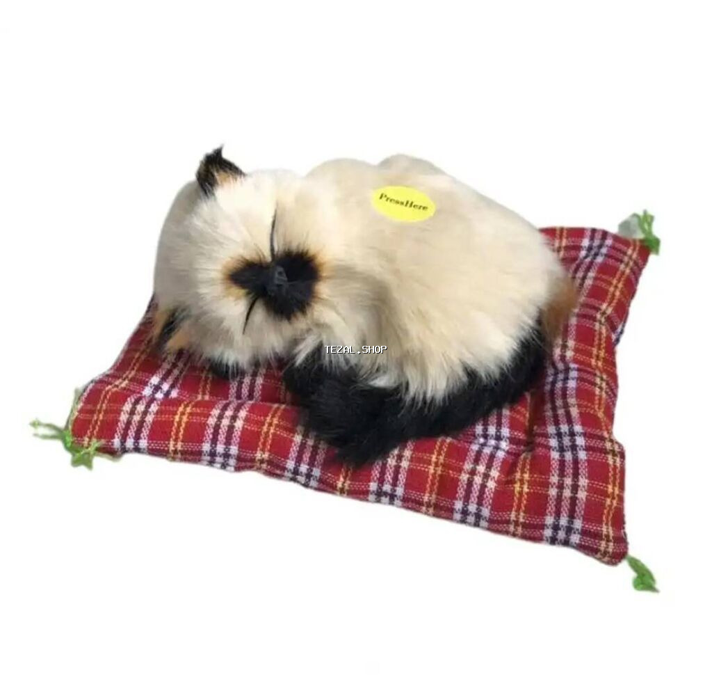 Gozel oyuncaq pisik balalari her interyere uygun. Duymesini basanda - şəkil 4