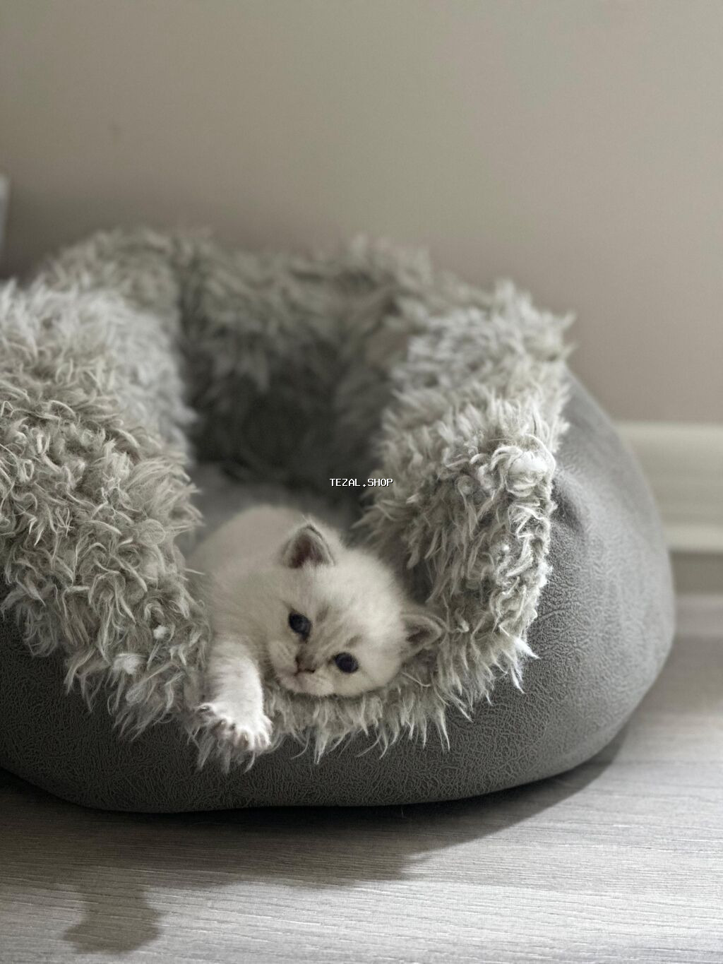 Britan, Yaxşı əllərə, Ödənişli çatdırılma - şəkil 3