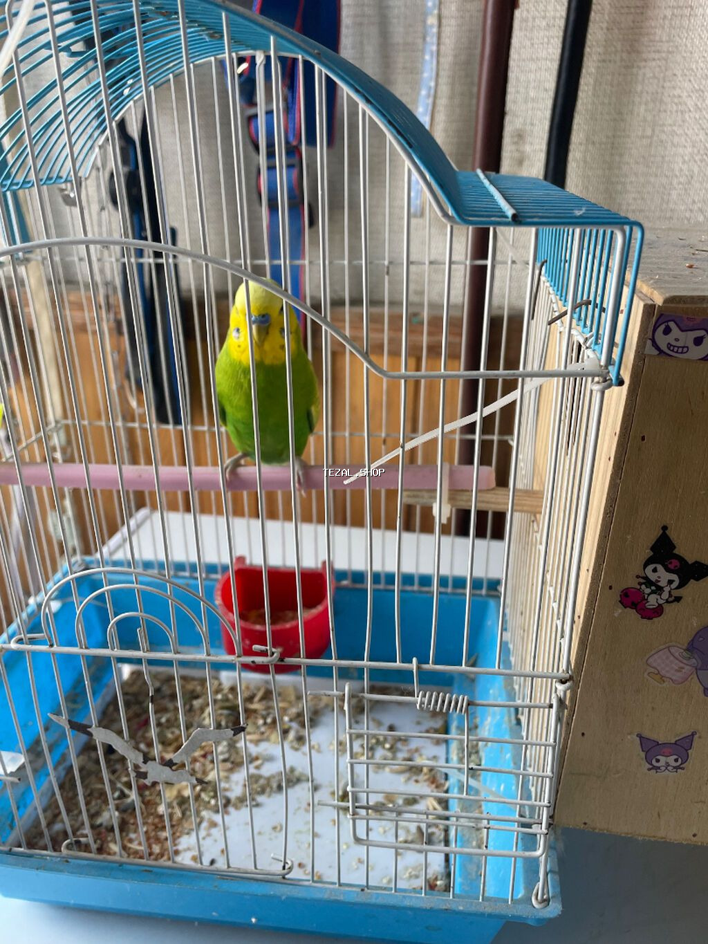 Salam hazir cut quslardir.altinda 4 yumurtasi var