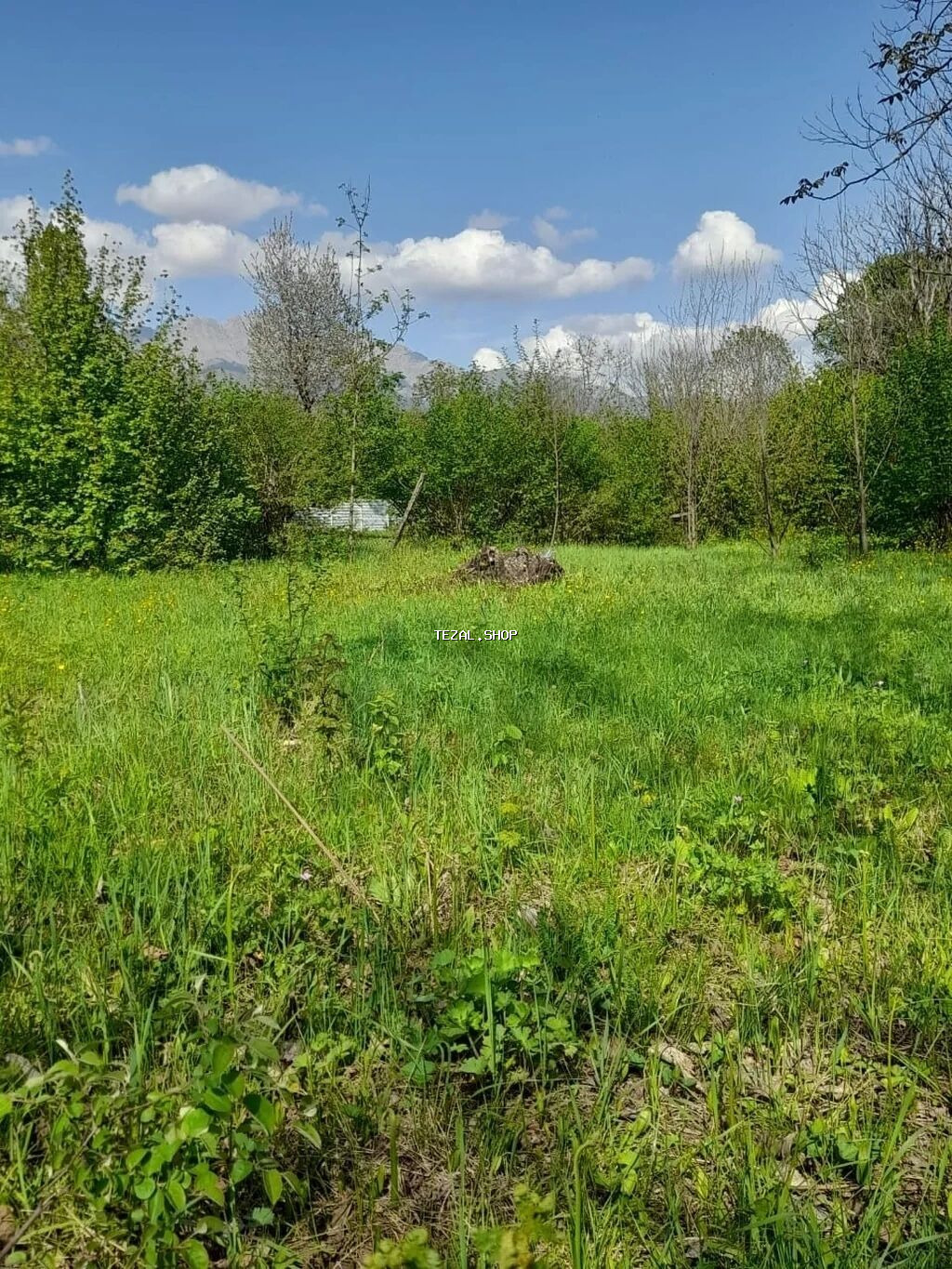 30 sot, Tikinti, Mülkiyyətçi, Kupça (Çıxarış) - şəkil 5