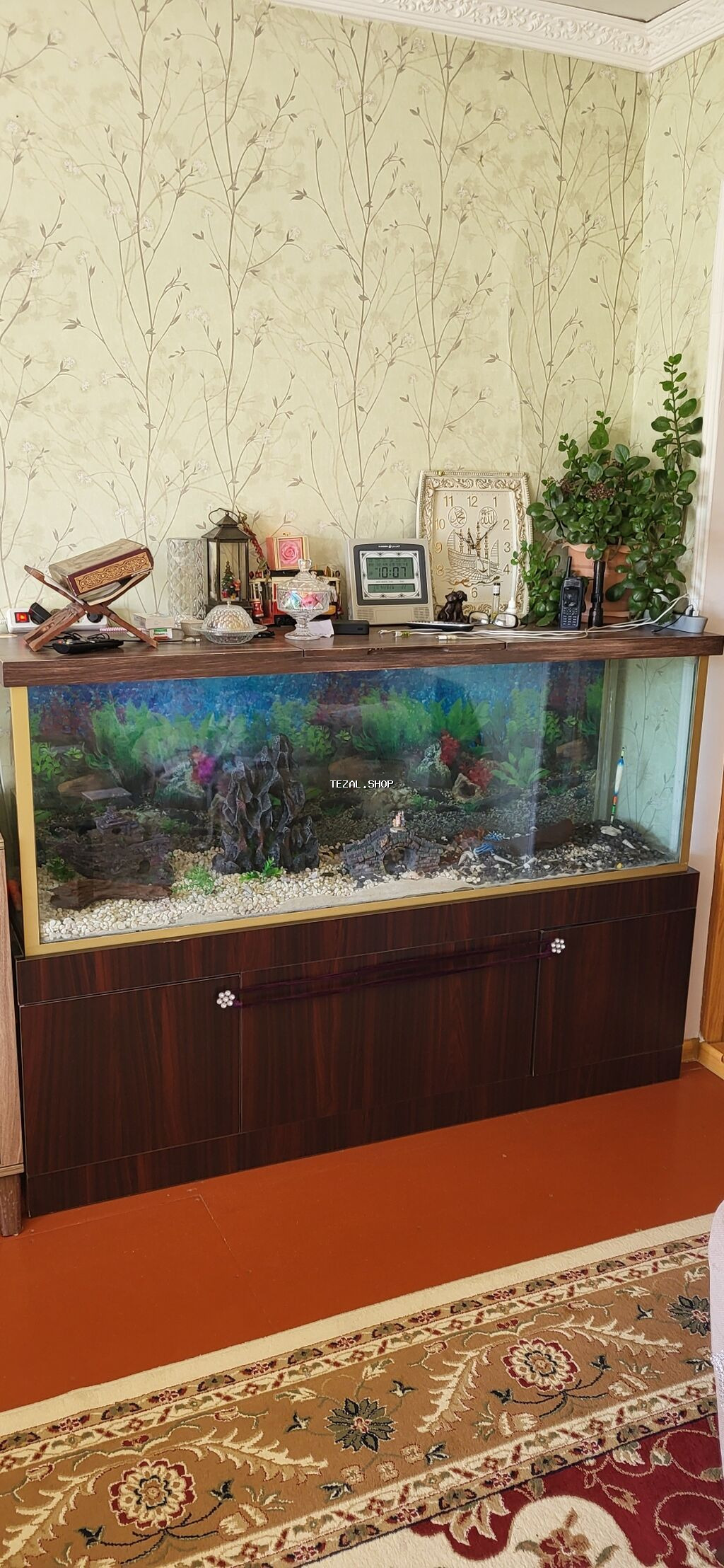 Akvarium satılır şkafıyla bir yerdə 800 AZN