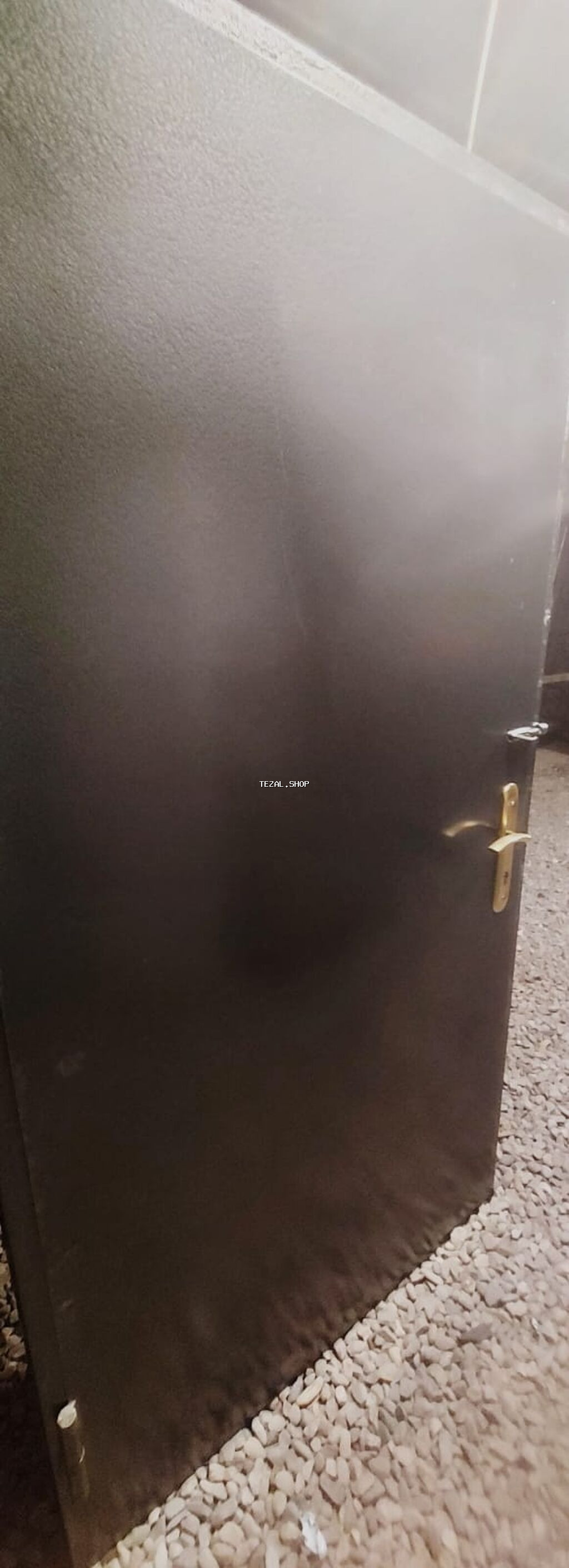 Delfin balığı, Sülhsevər, Ünvandan götürmə - şəkil 4