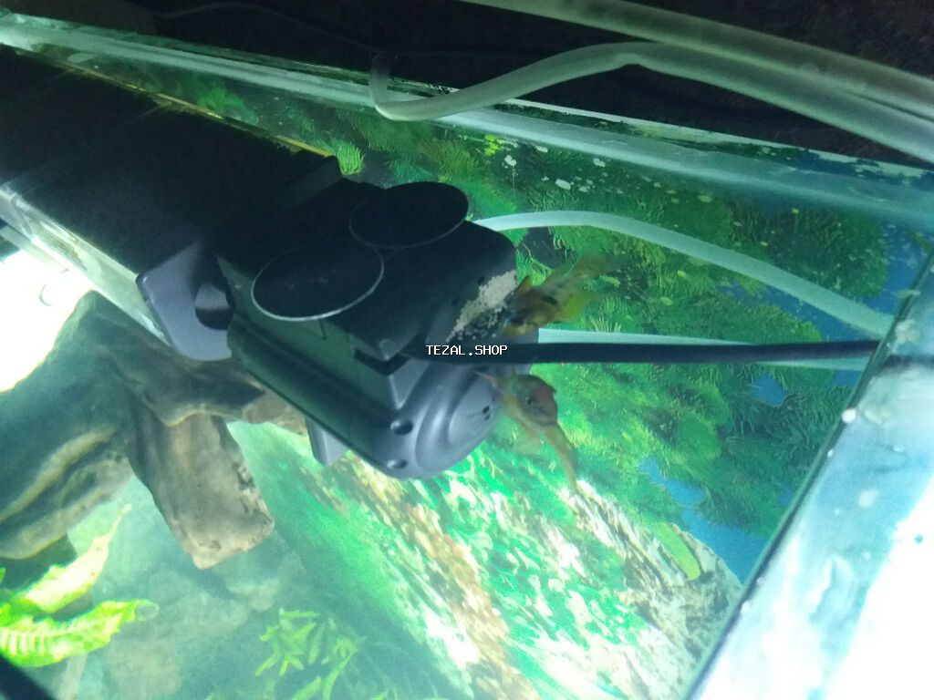 Sülhsevər, Ünvandan götürmə, Ödənişli çatdırılma - şəkil 2