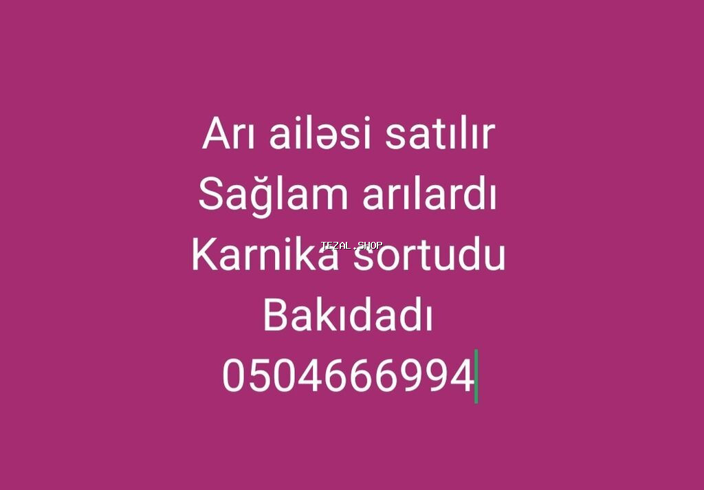 Karnika sortlu,anaları təzədi.2025