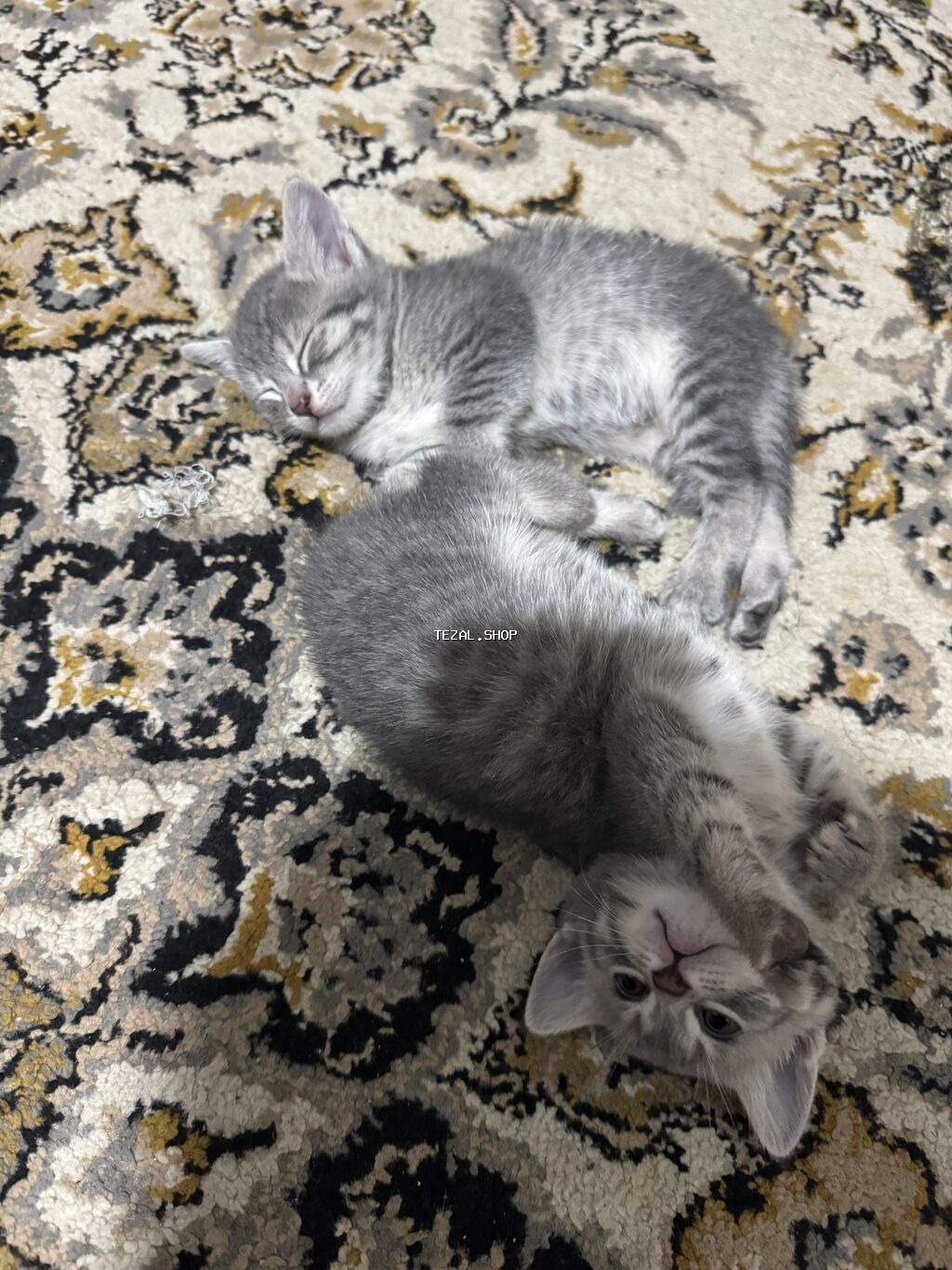 Şotland, Yaxşı əllərə, Ünvandan götürmə, Ödənişli çatdırılma - şəkil 2