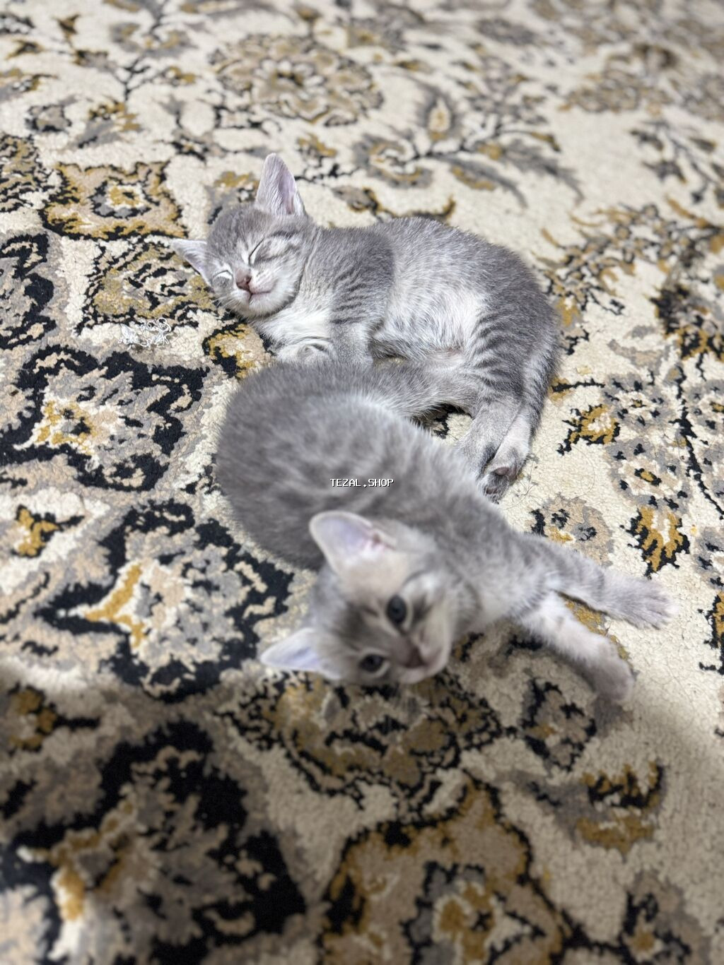 Şotland, Yaxşı əllərə, Ünvandan götürmə, Ödənişli çatdırılma - şəkil 3